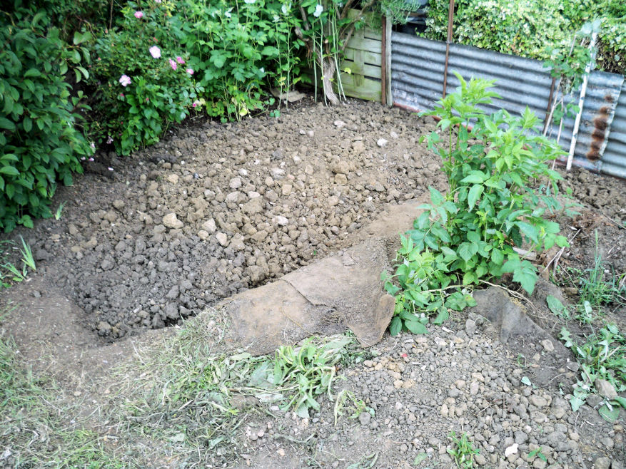 allotment2ndhalfdrystony.jpg