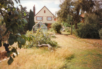 gardensummer95.jpg