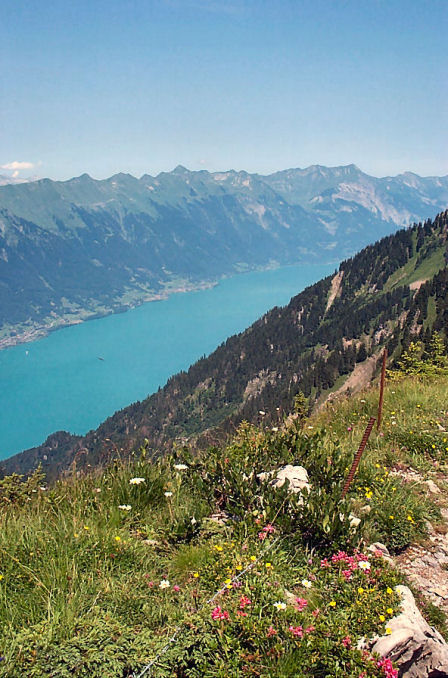 safetyfenceatschynigeplatte.jpg